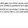 Šeškas nebegyvas