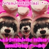 Forumjookas!